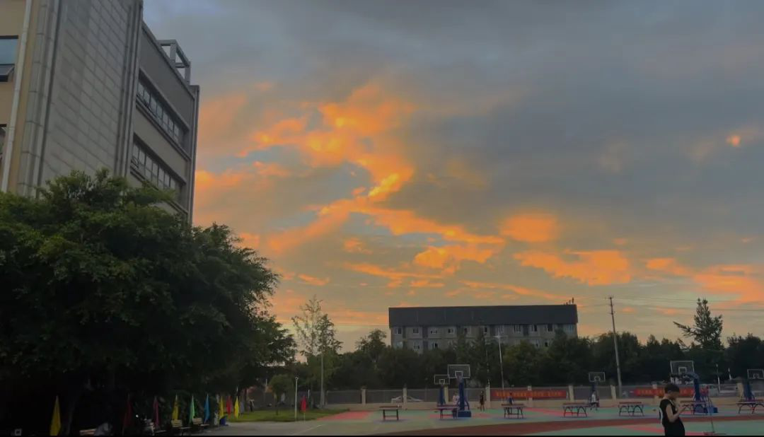 图片44