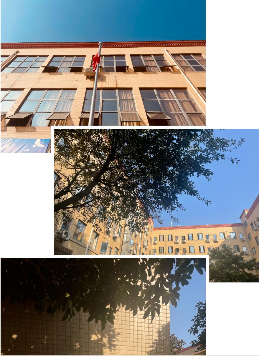 QQ截图20240113120002