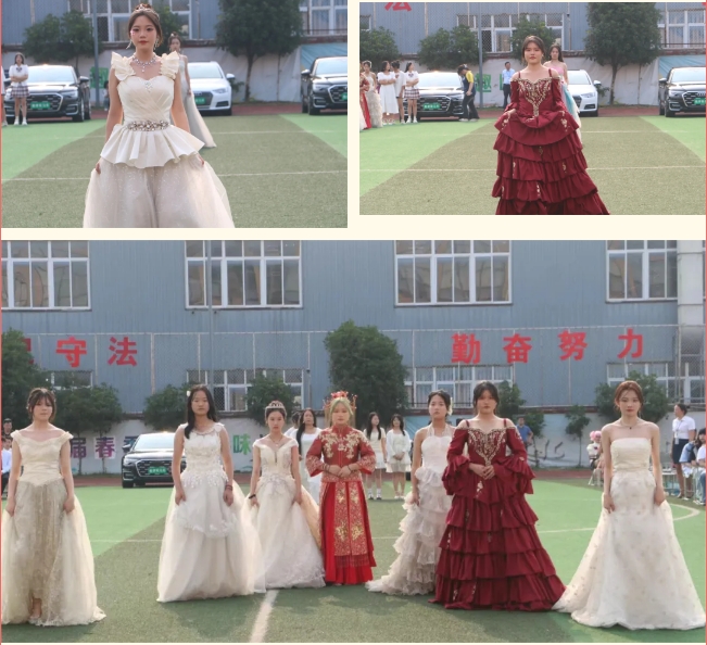 微信截图_20240607131236