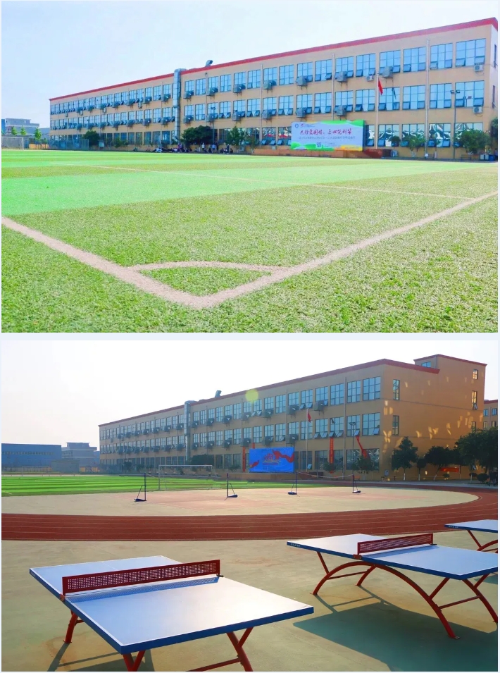 微信截图_20240607135024