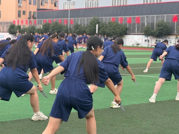 微信截图_20240809134640