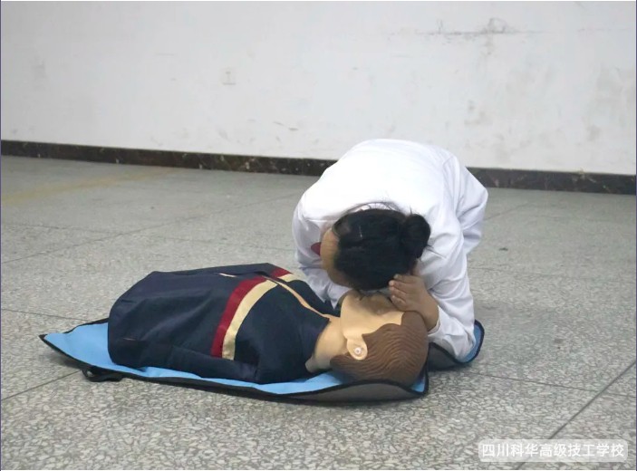 微信截图_20241220100507